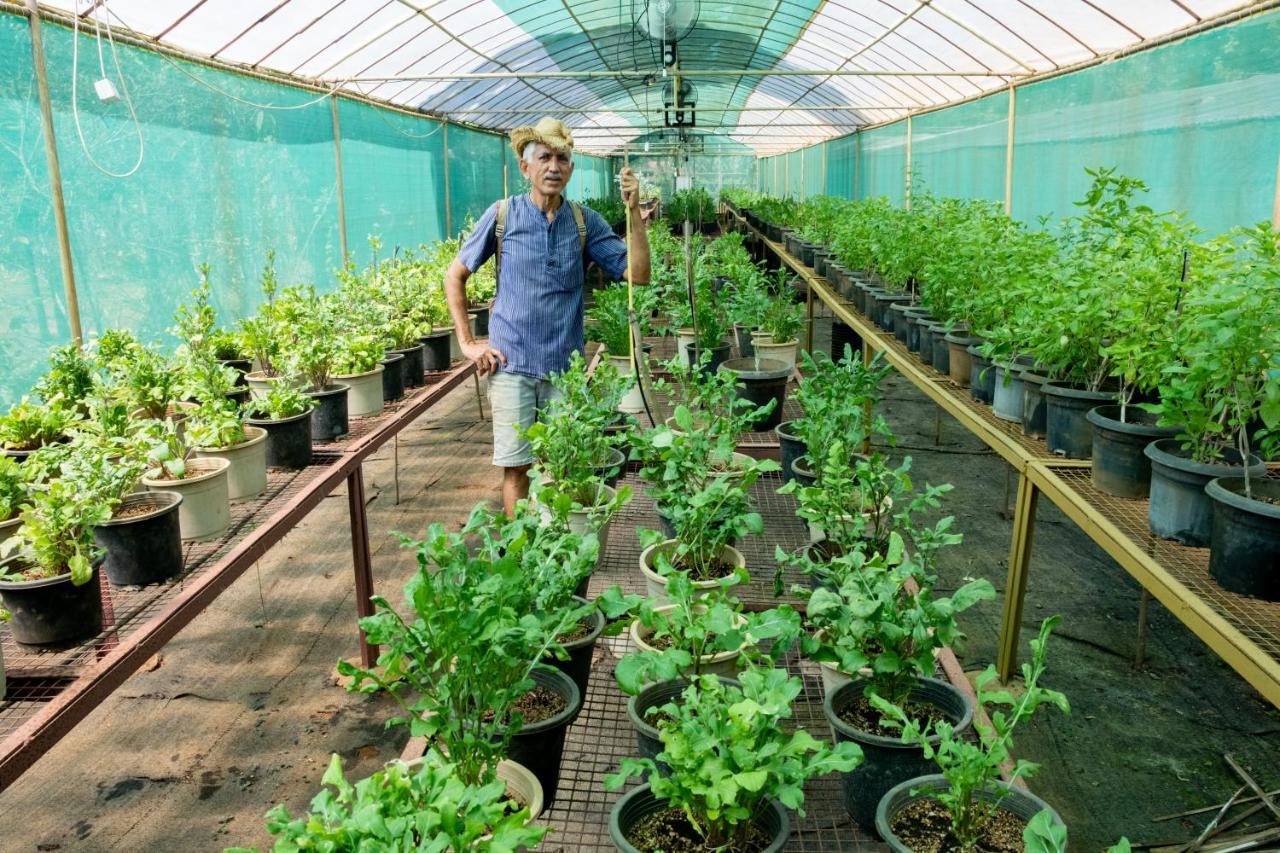 Mangaal Farmstay Goa Vichondrem Exteriér fotografie