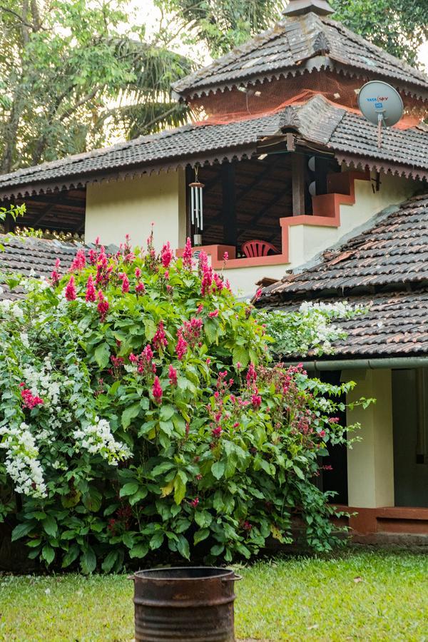 Mangaal Farmstay Goa Vichondrem Exteriér fotografie