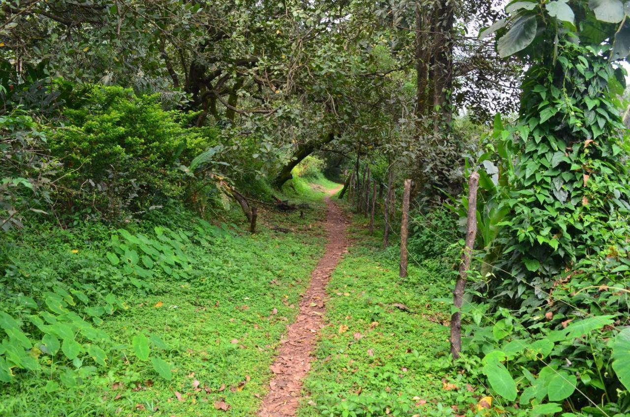 Mangaal Farmstay Goa Vichondrem Exteriér fotografie